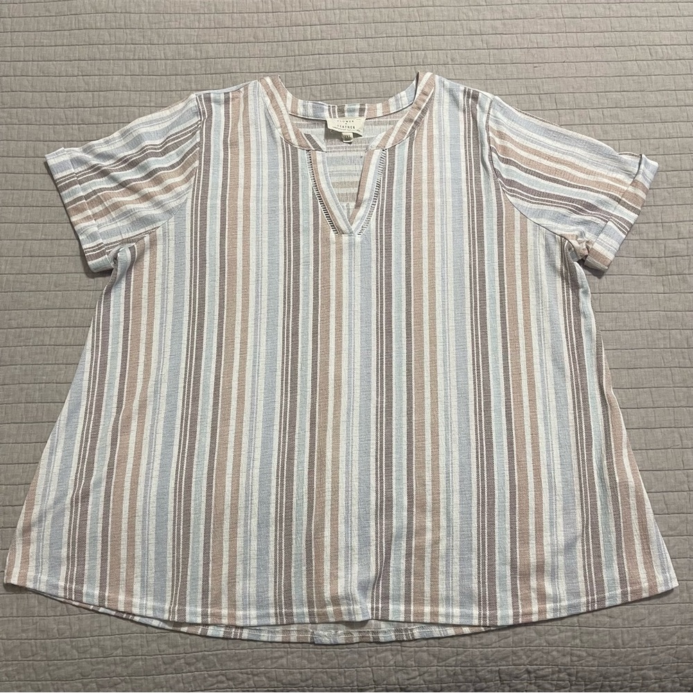 Flower & Feather Woman’s SS V-Neck Multicolor Striped Top Size 2XL